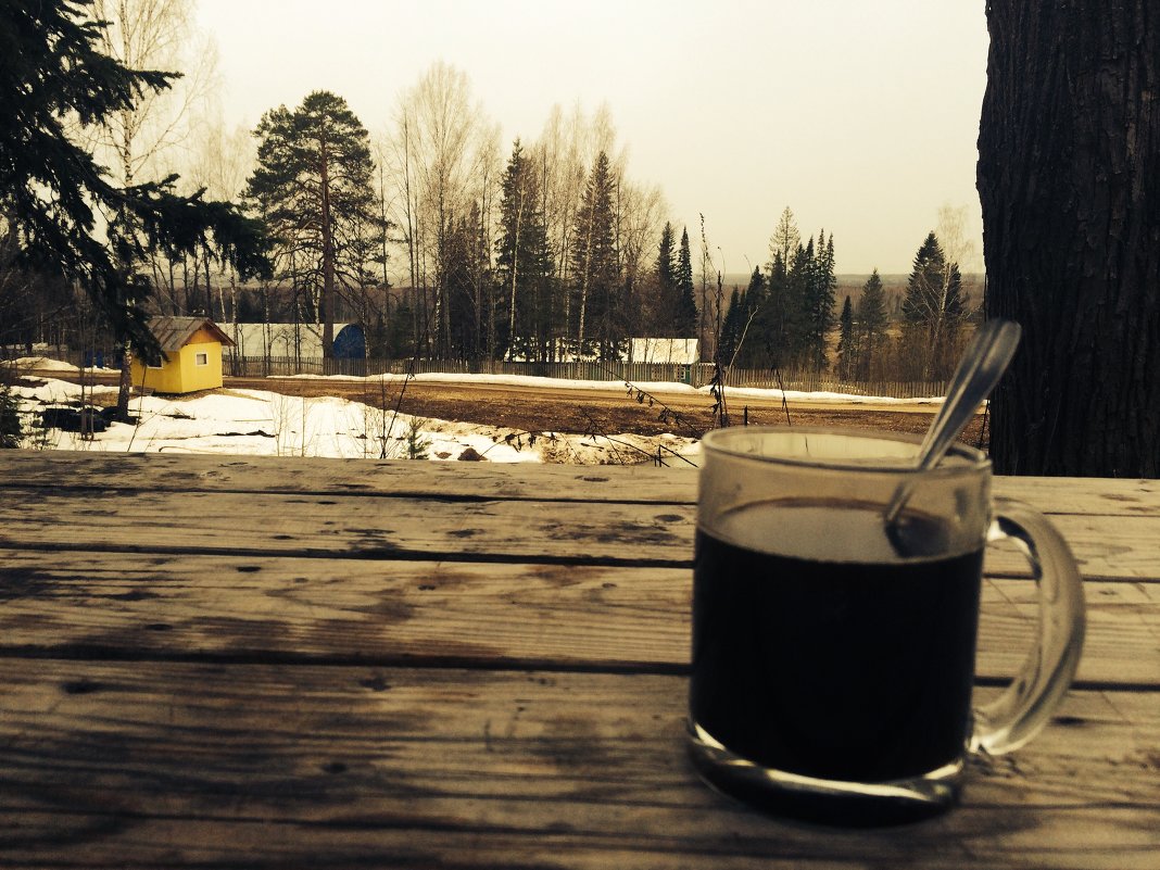 утренний весенний кофе на природе - Elena Pashkova