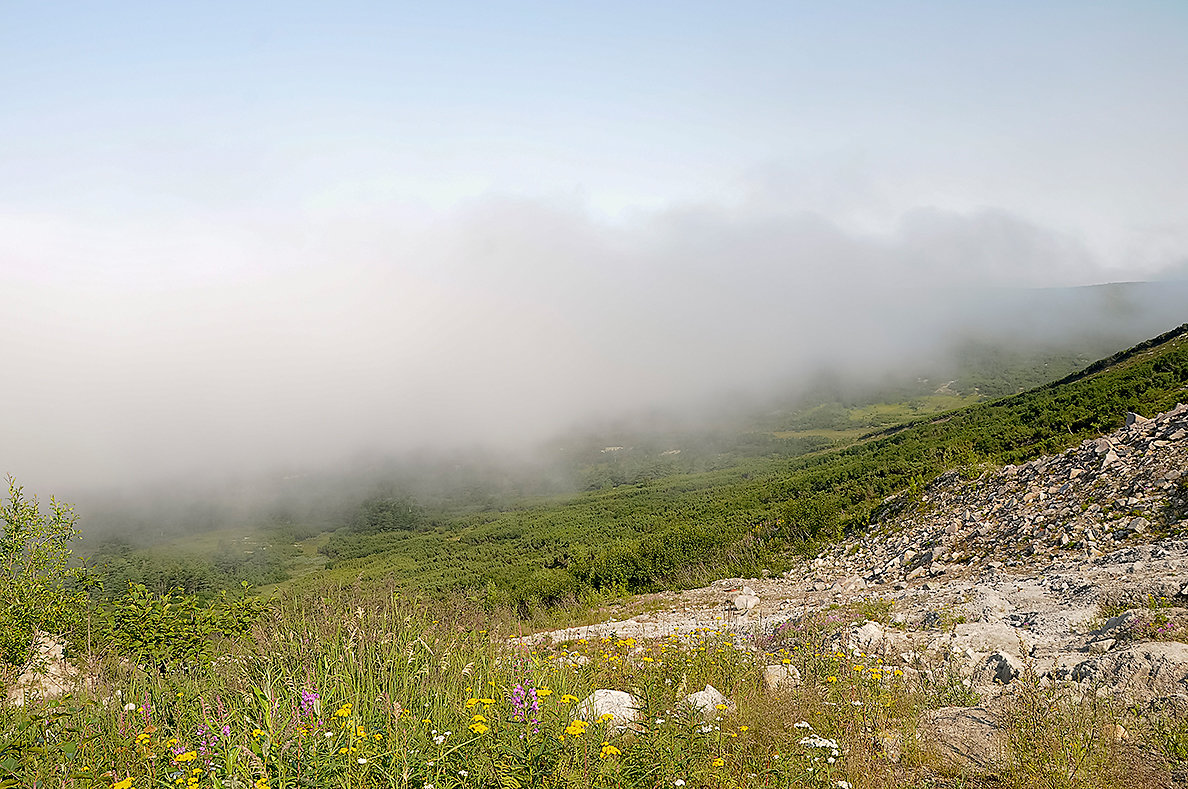 туман на перевале - Galina 