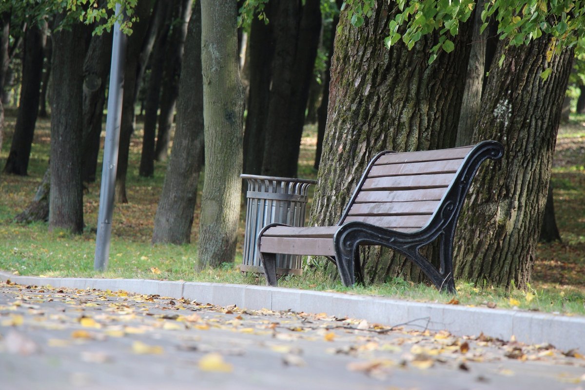 Скамейка в парке , начало осени - Алексей Кузьмин