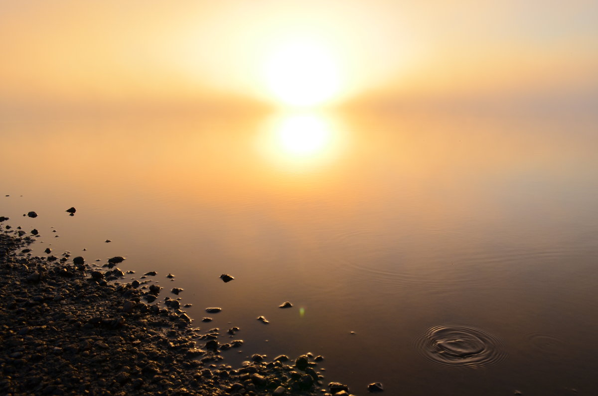 Река Вятка, восход солнца сквозь туман - Татьяна Наймушина
