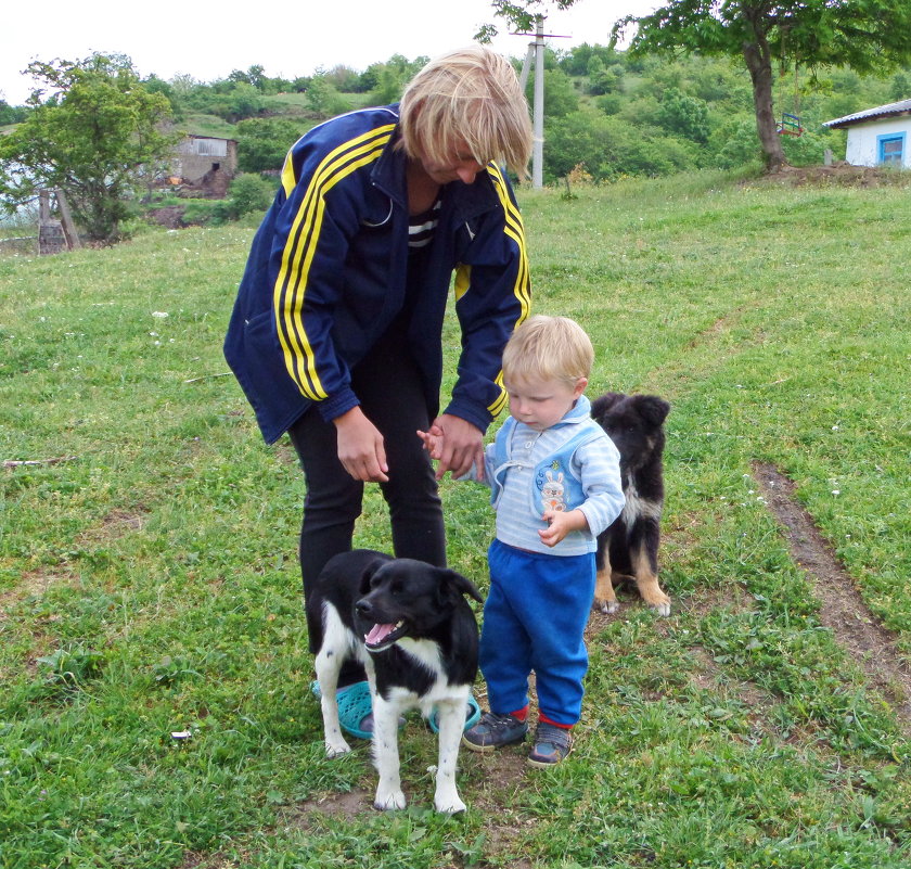 Стасик со своими собаками - Наталия С-ва
