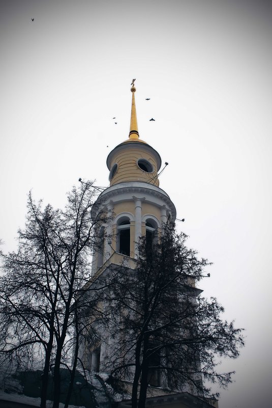 Ахтырская (Никитская) церковь - Александра Старых