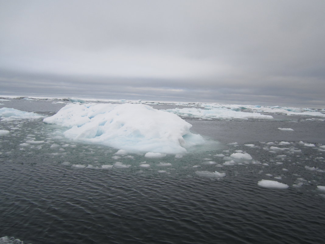 Ледяной островок - Дарья Каратун