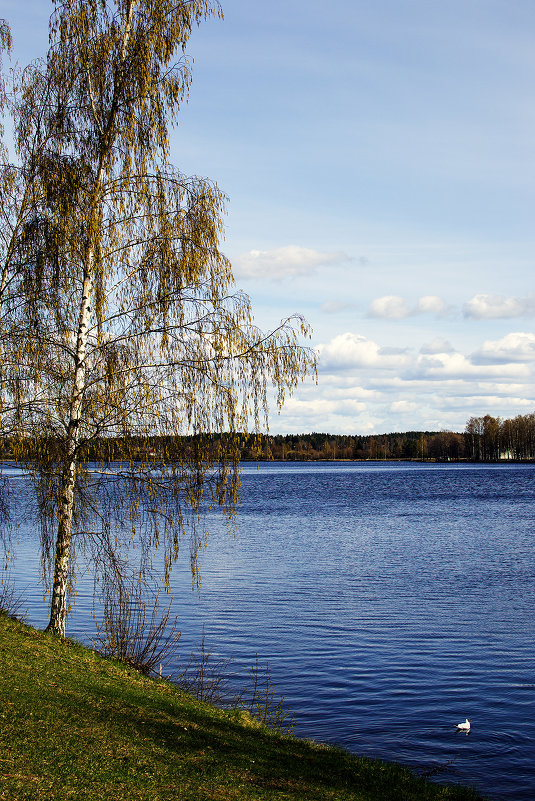 На озере - Valerii Ivanov