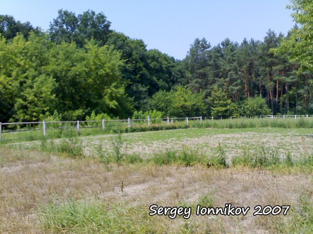 Андрушевка. Красная горка. Бывший фазанарий в лесу. Июль 2007 - Сергей Ионников