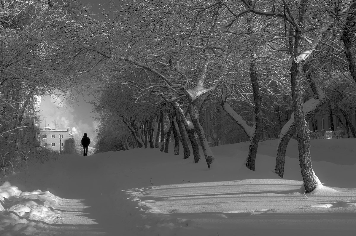 зима в городе - Сергей Политыкин