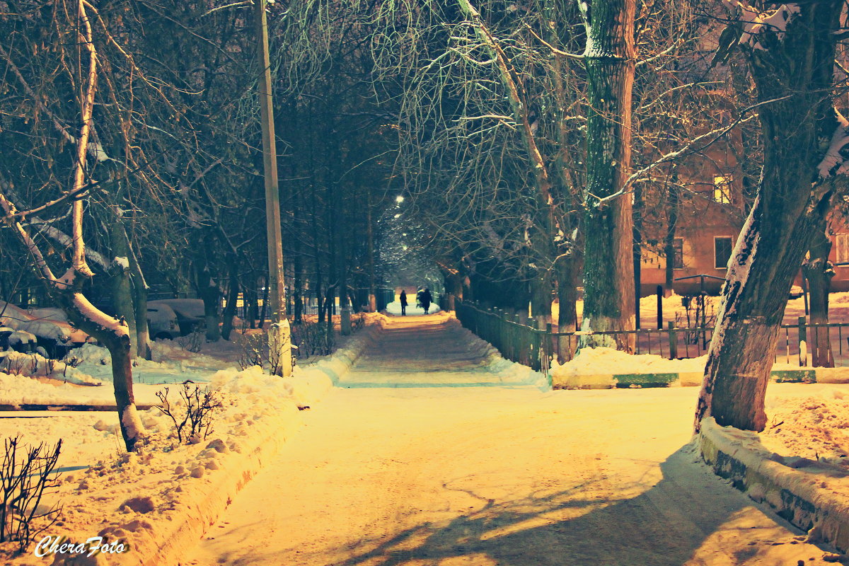 Зимний вечер - Chera -