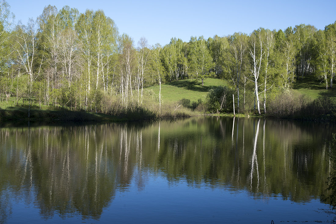 *** - Александр Гурьянов