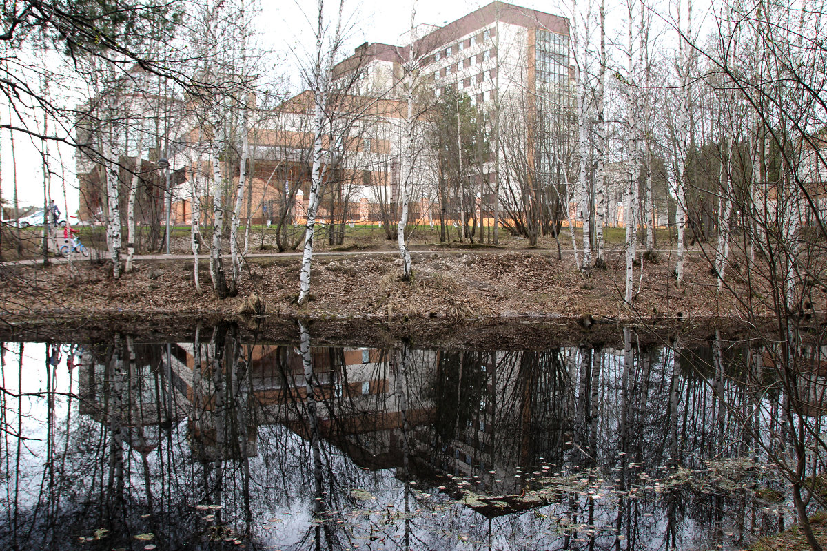 Прогулка в парке - Гена Белоногов 