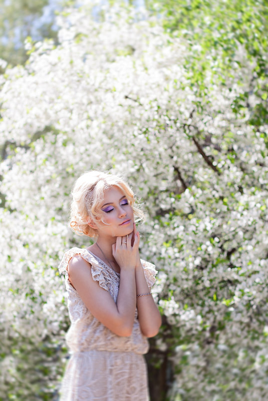 Девушка у цветущей вишни - Евгения Семенова