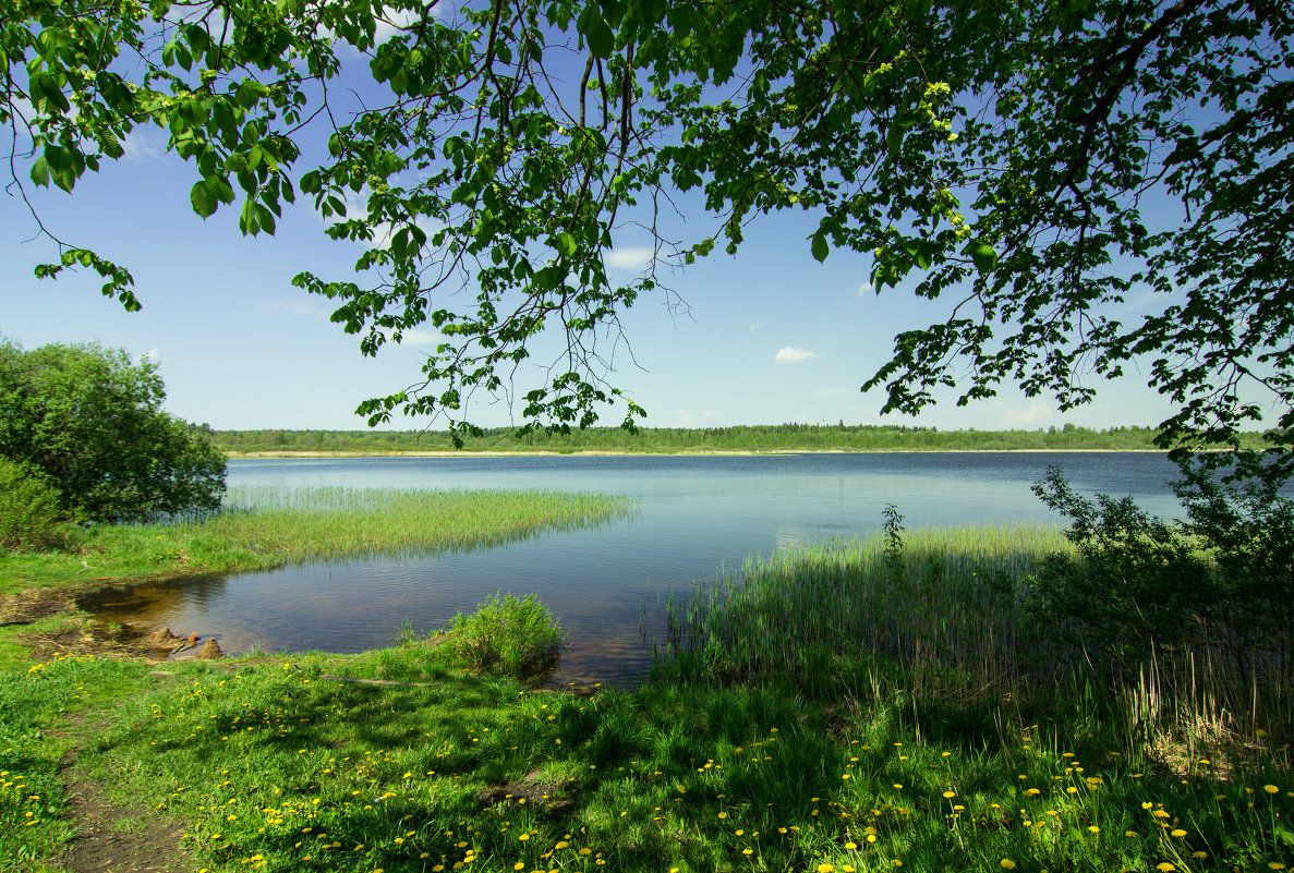 Орлинское озеро - Наталья Ерёменко