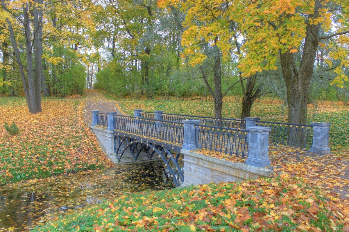 В парке - Сергей Григорьев