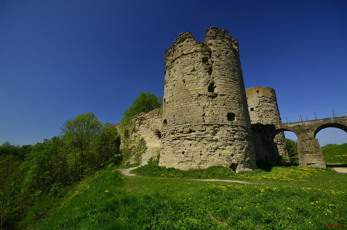 Башня крепости Копорье - Олег .