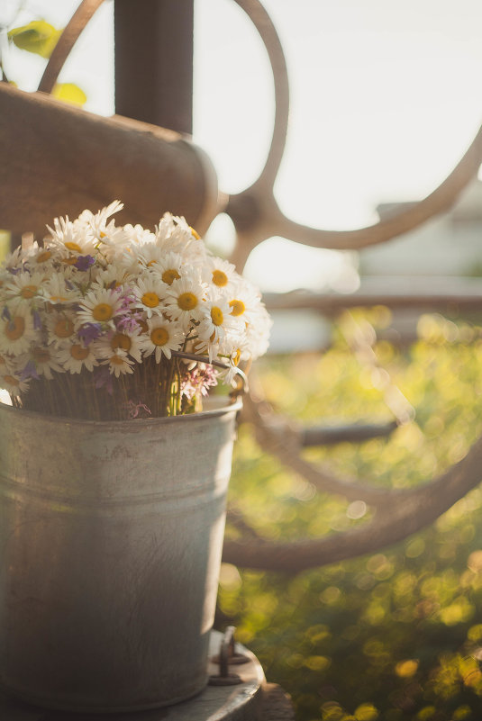 Flower day - Яна Панченко