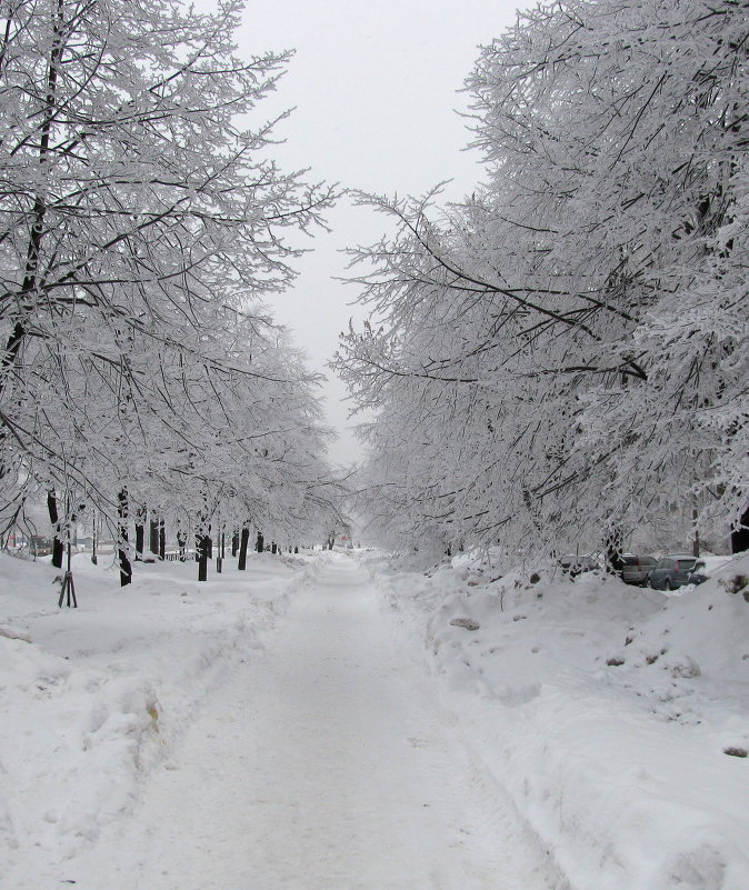 Бульвар зимой - Александр 