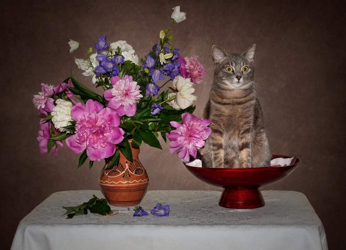 Кот и ваза с цветами