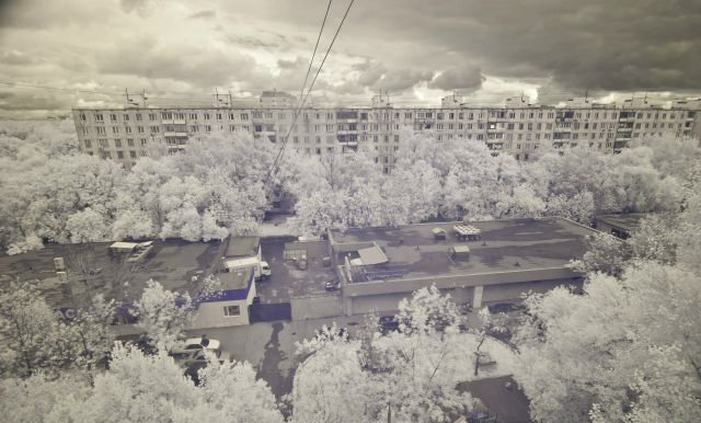 IR фотография - Игорь Середа