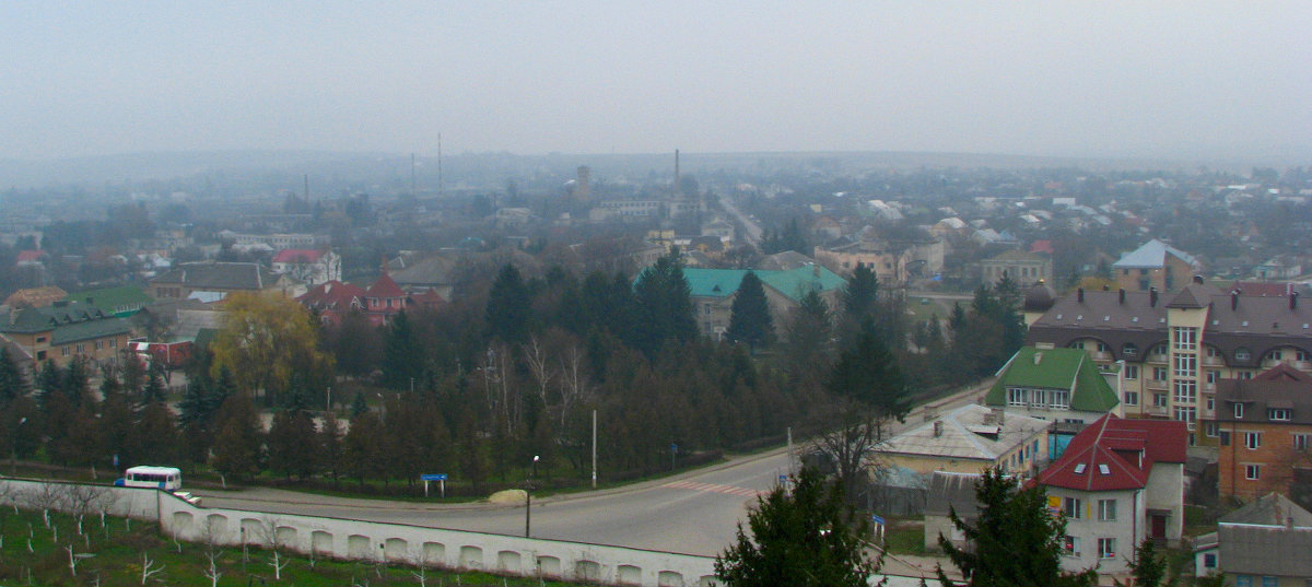 Поселок в тумане - Тарас Грушивский