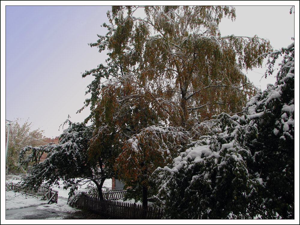 Снегопад в начале октября - Тарас Грушивский