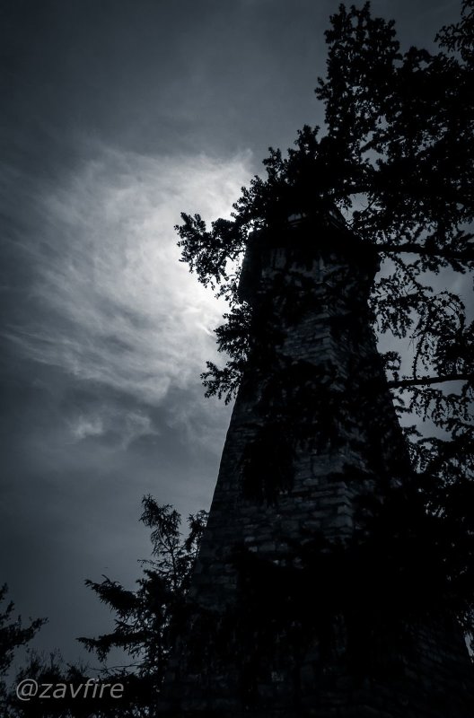 "Forest Lighthouse" - Andy Zav