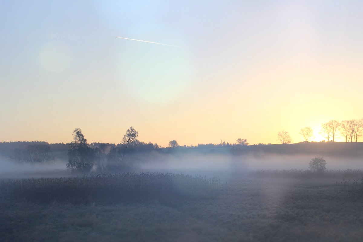 morning mist - marisa 