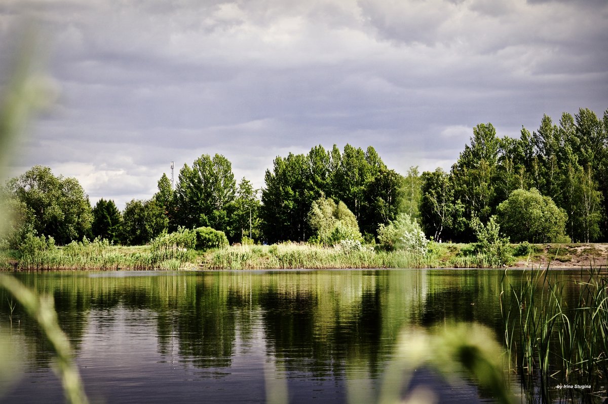 озеро в парке - Ирина Стугина