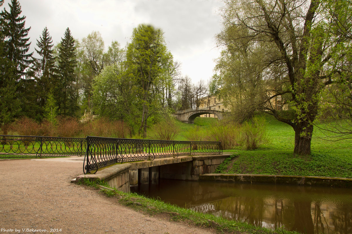 Павловск.  В Дворцовом парке - Вера Бокарева