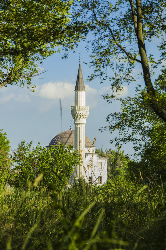 Мечеть - Юлия Лето