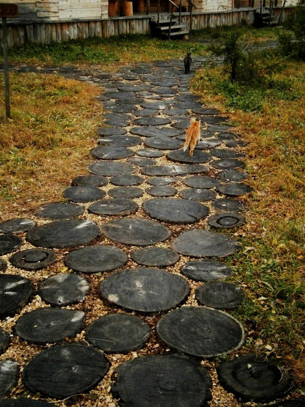 Кошки-дорожки в Этномире - Ирина Томина