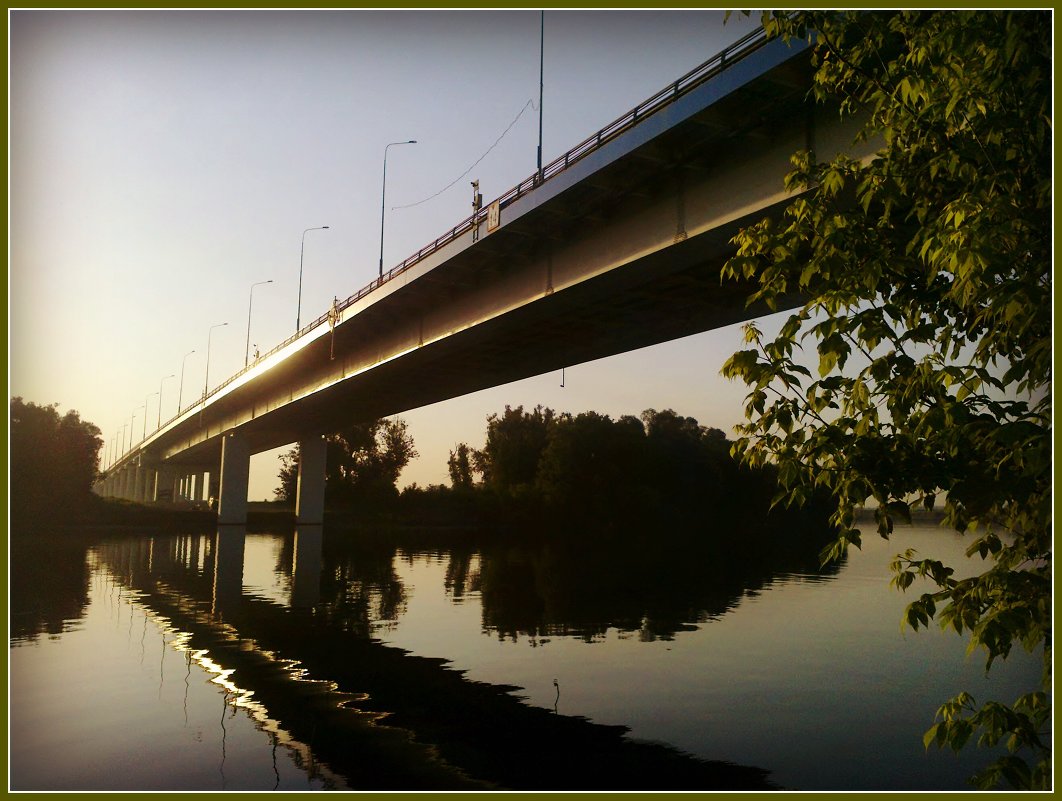 Мост над рекой Москвой - Ольга Кривых