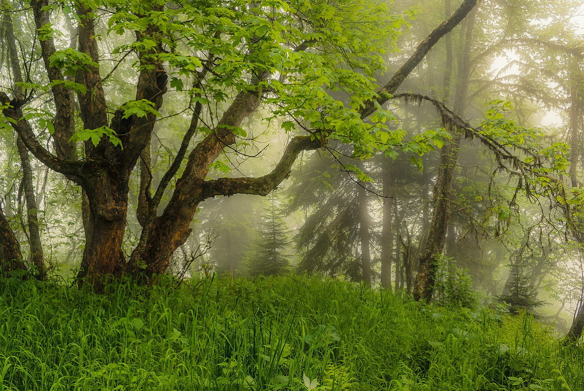 *** - Александр 