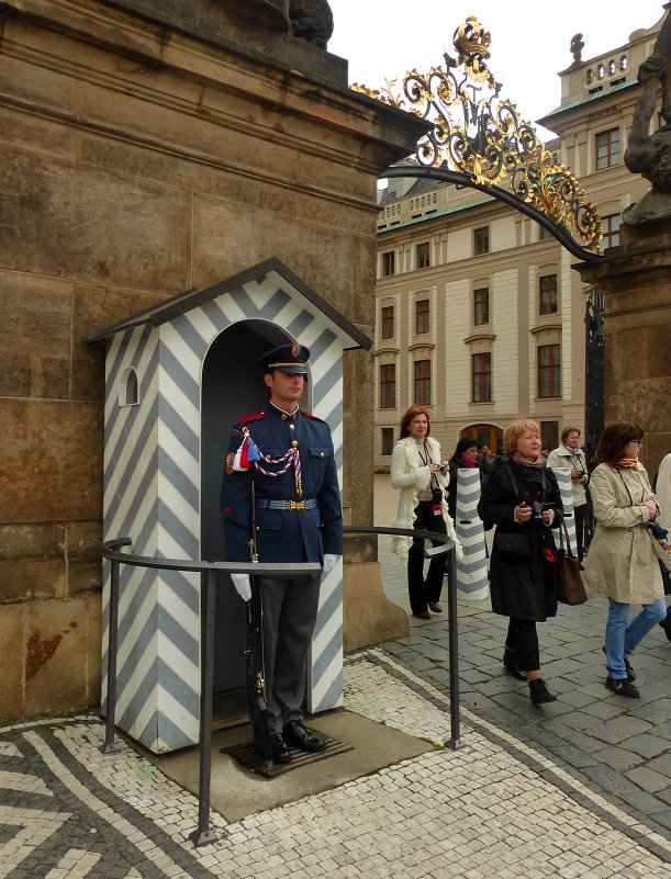 немногочисленная охрана президентского дворца в Праге - Лана Lana