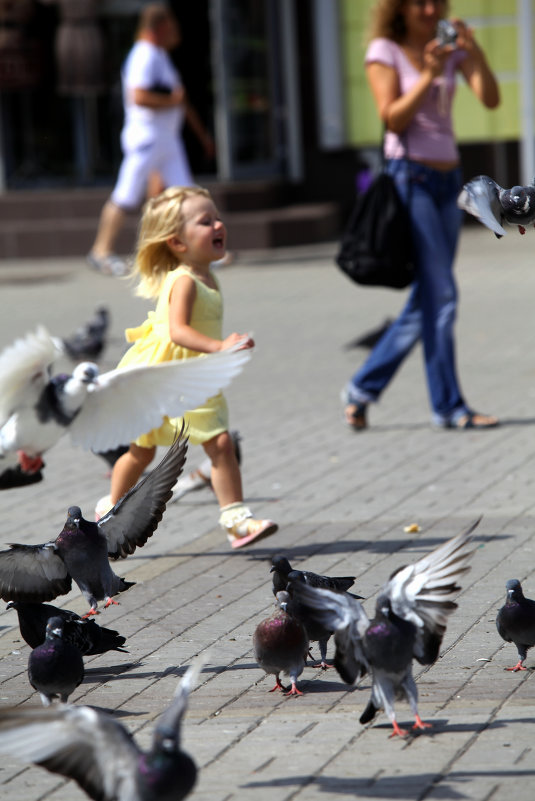 "Летите, голуби, летите" - Николай Хондогий