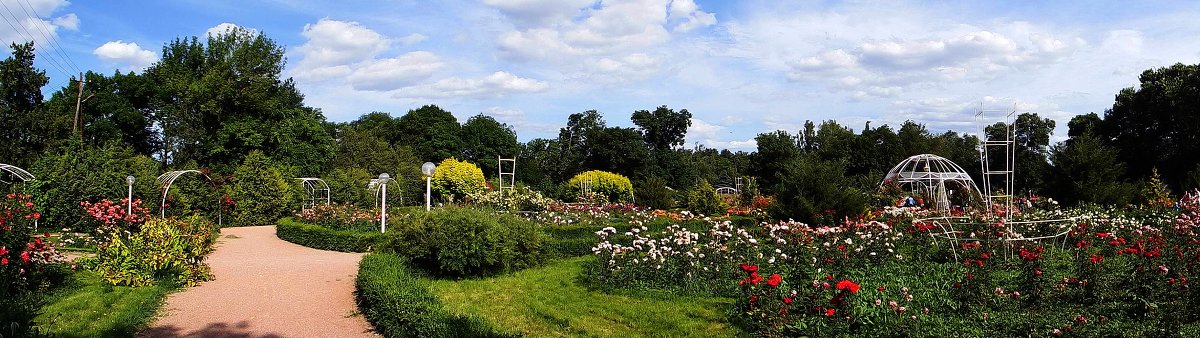 Симферополь.ботанический сад - Константин Снежин