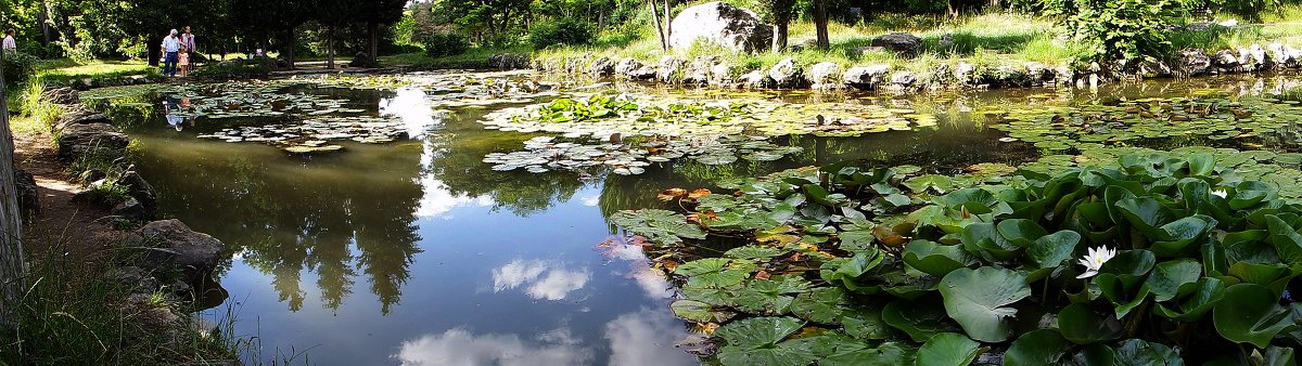 Симферополь,ботанический сад - Константин Снежин