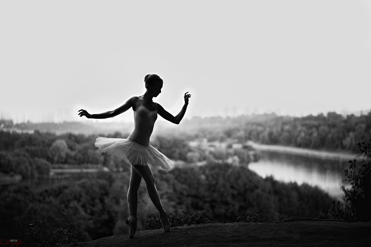 silhouette of a ballerina - Георгий Чернядьев