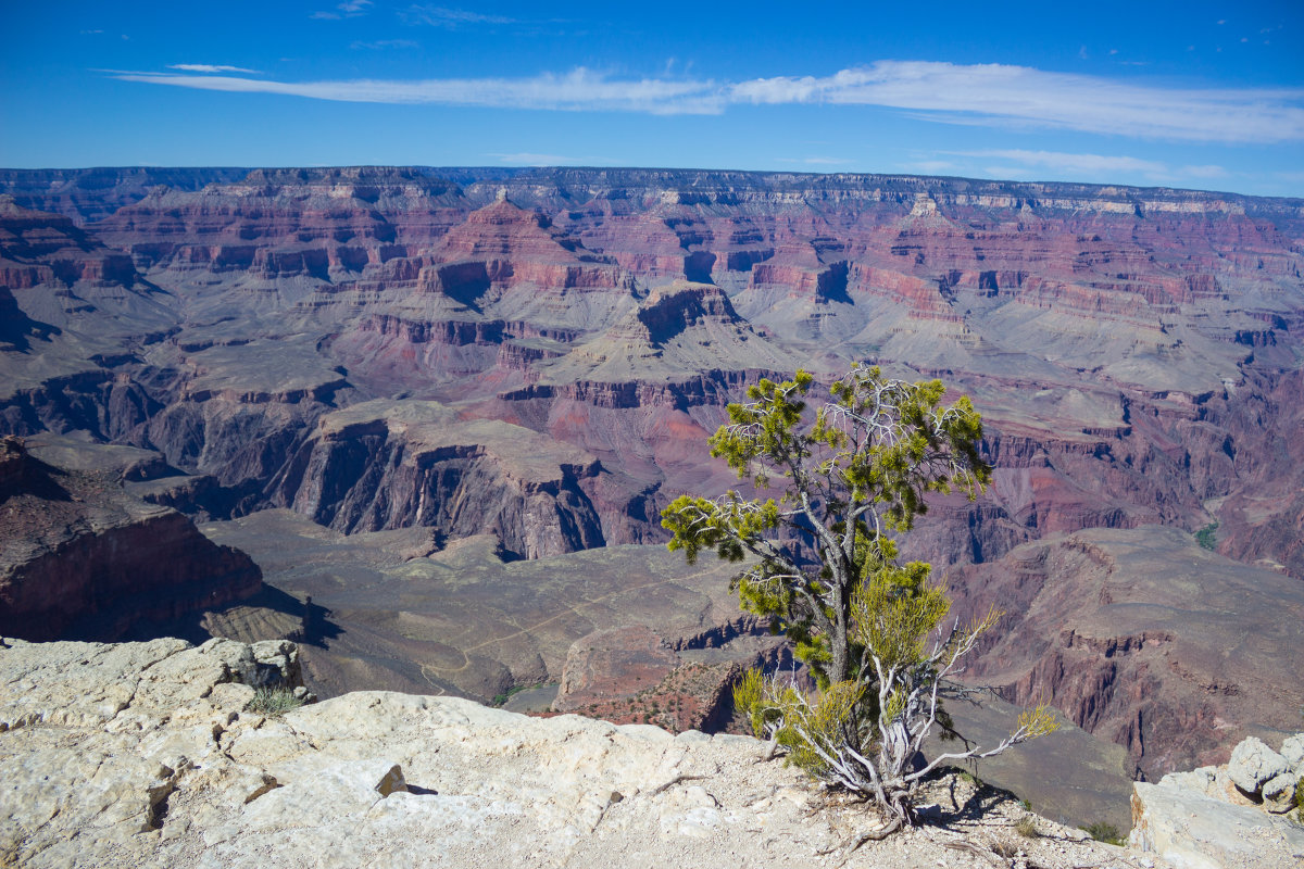 Grand Canyon - Владимир Pechkin