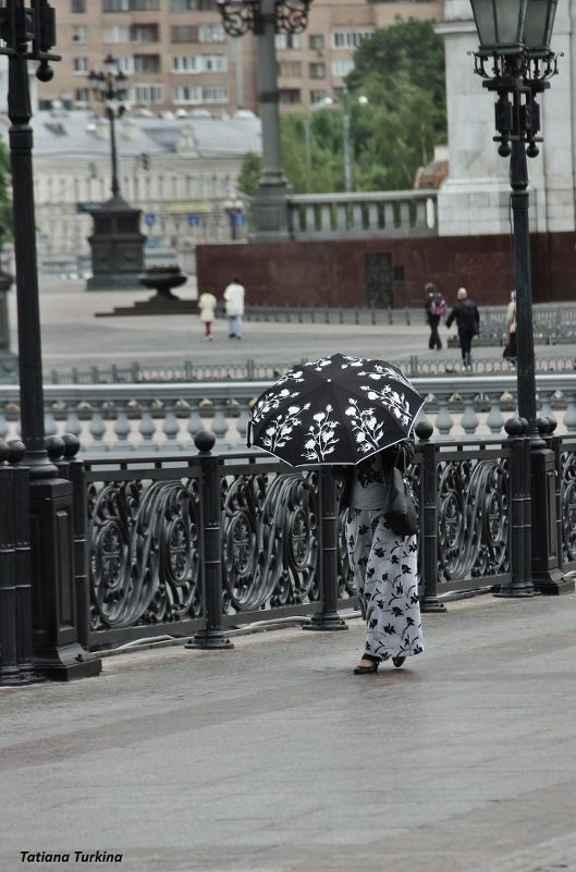 На мосту под дождем - Татьяна Туркина