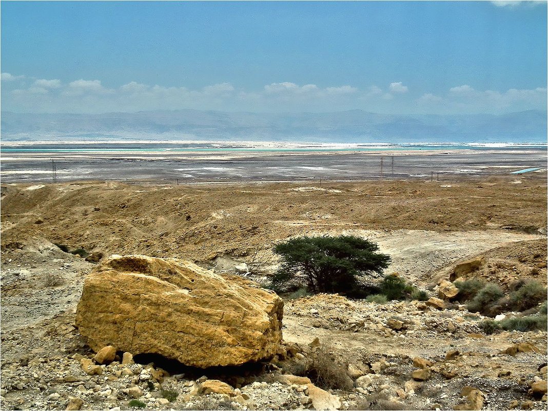 У самого Мертвого моря - Аркадий Голод