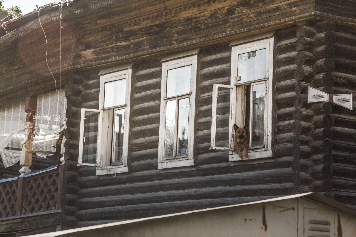 А из нашего окна... - Татьяна Копосова