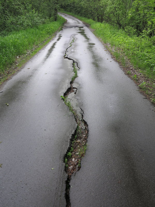 Мокрая дорога - anna borisova 