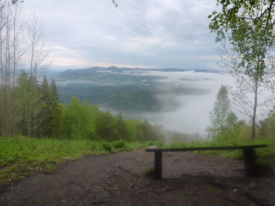 Старая скамья - Вячеслав Устинов