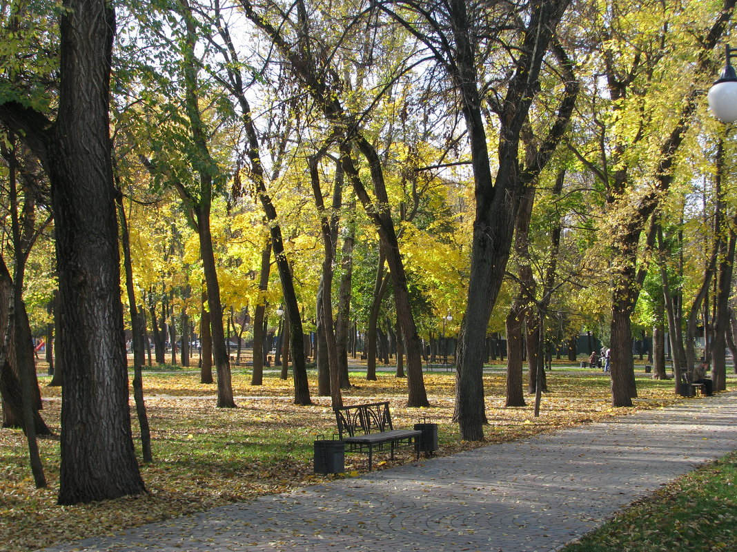 "В осеннем парке городском слетает желтый лист....." - Михаил Болдырев 
