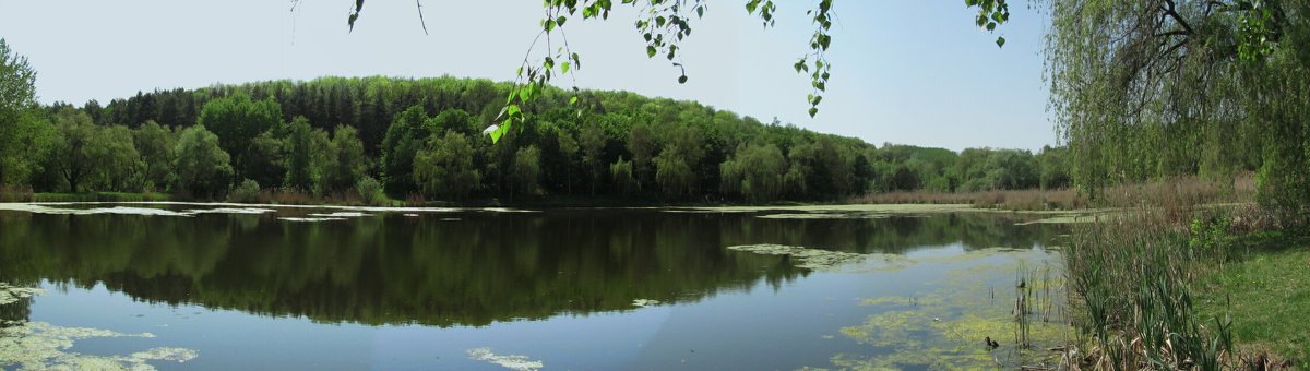 Дендропарк, г. Полтава - Сергій Полухін