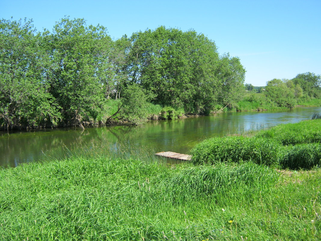 Река Устье, Ярославская область - галина 
