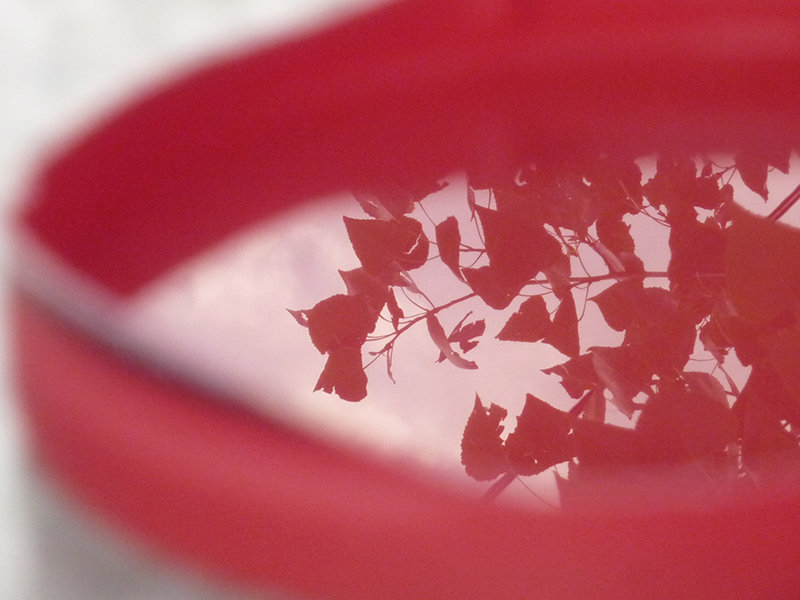 Отражение листвы в воде на красном - Karlina *** (Елена К)