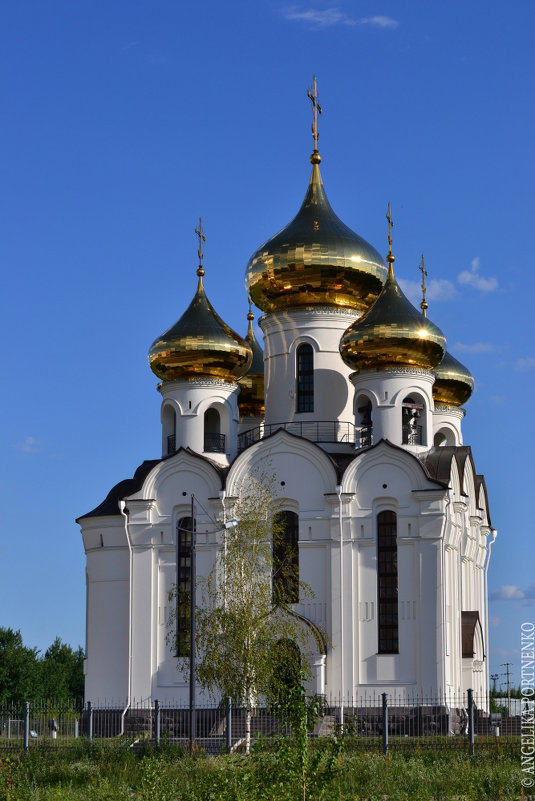 Церковь Александра Невского - Lik Nik