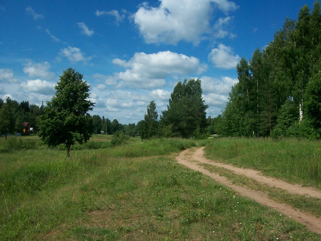 По проселочной дороге. - Жанна Викторовна