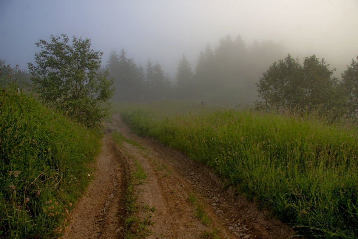 *** - Андрій Кізима