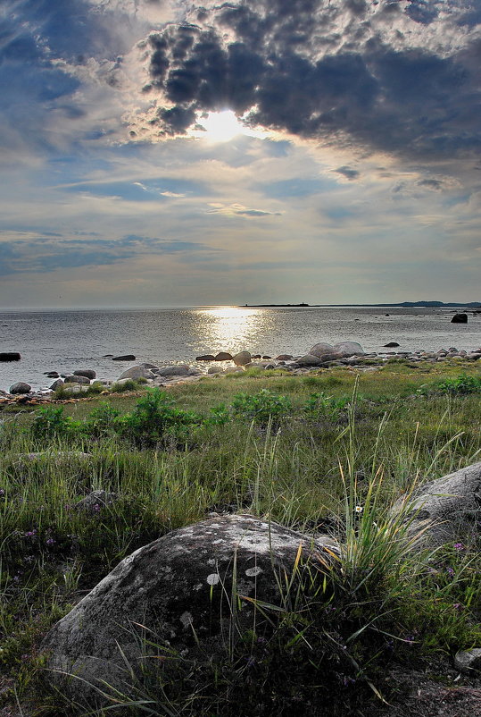 На Белом море - Анастасия Смирнова